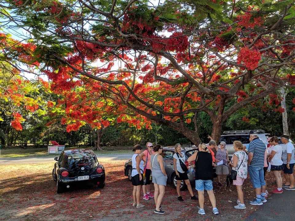 Presented an Educational Wildlife Talk to the ‘Northern Beaches Community Walk’